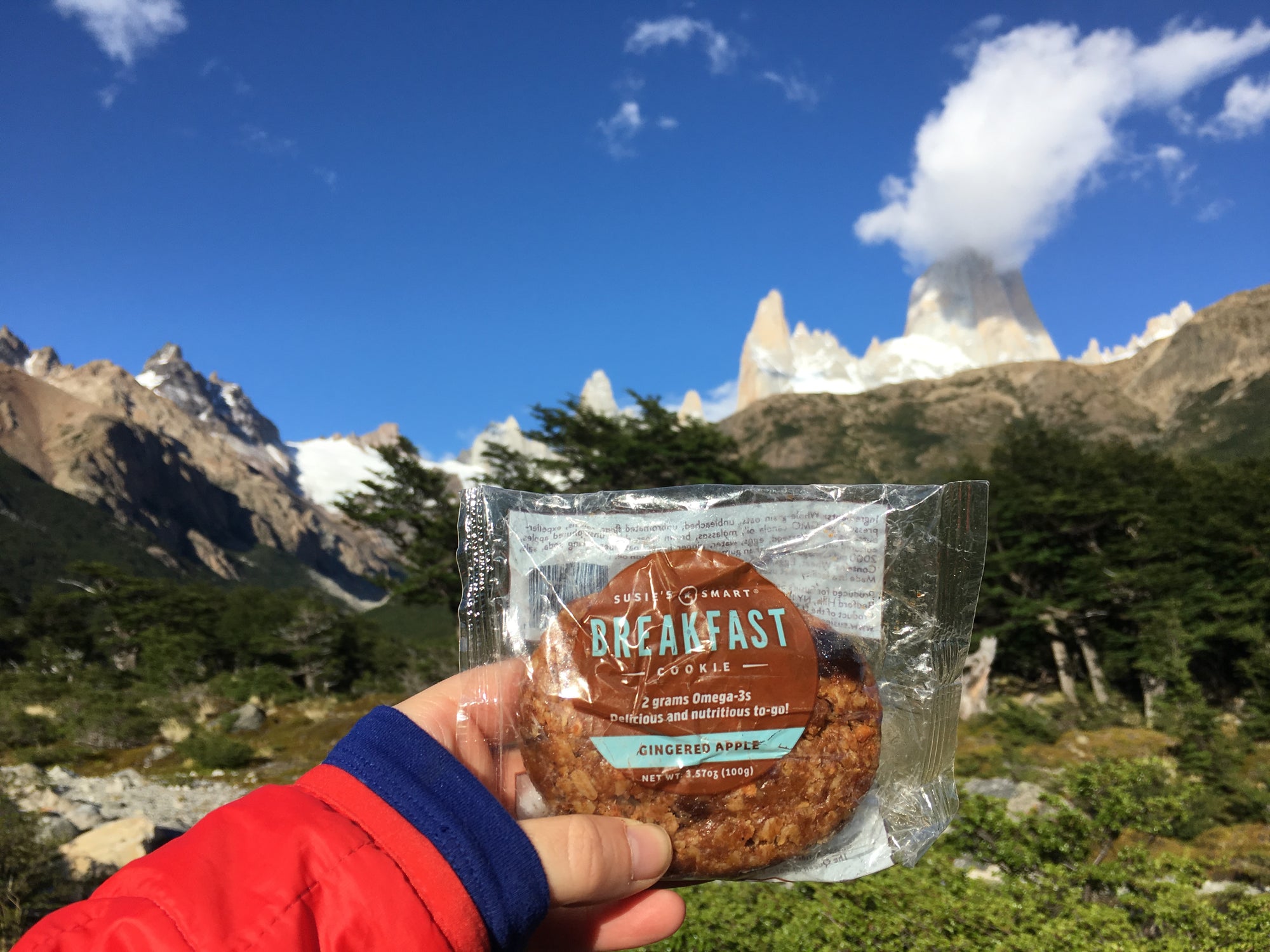 Why do YOU like Susie's Smart Breakfast Cookies??