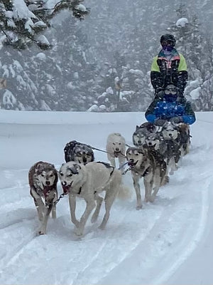 Sled Dogs need Omega-3s too!