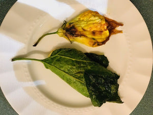 Stuffed Squash Flowers and Leaves