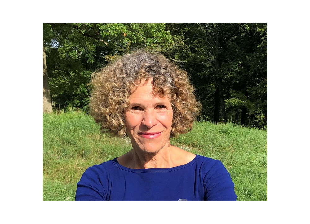 Big, Moist And Delicious Susie's Smart Cookie