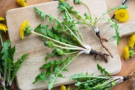 Celebrate Spring with a Dandelion Salad